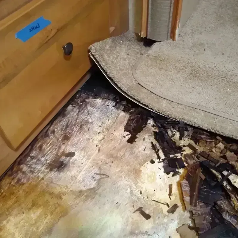 Best Wood Floor Water Damage Service in Dauphin Island, AL